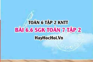 Bài 6.6 SGK Toán 7 tập 2 Kết nối tri thức